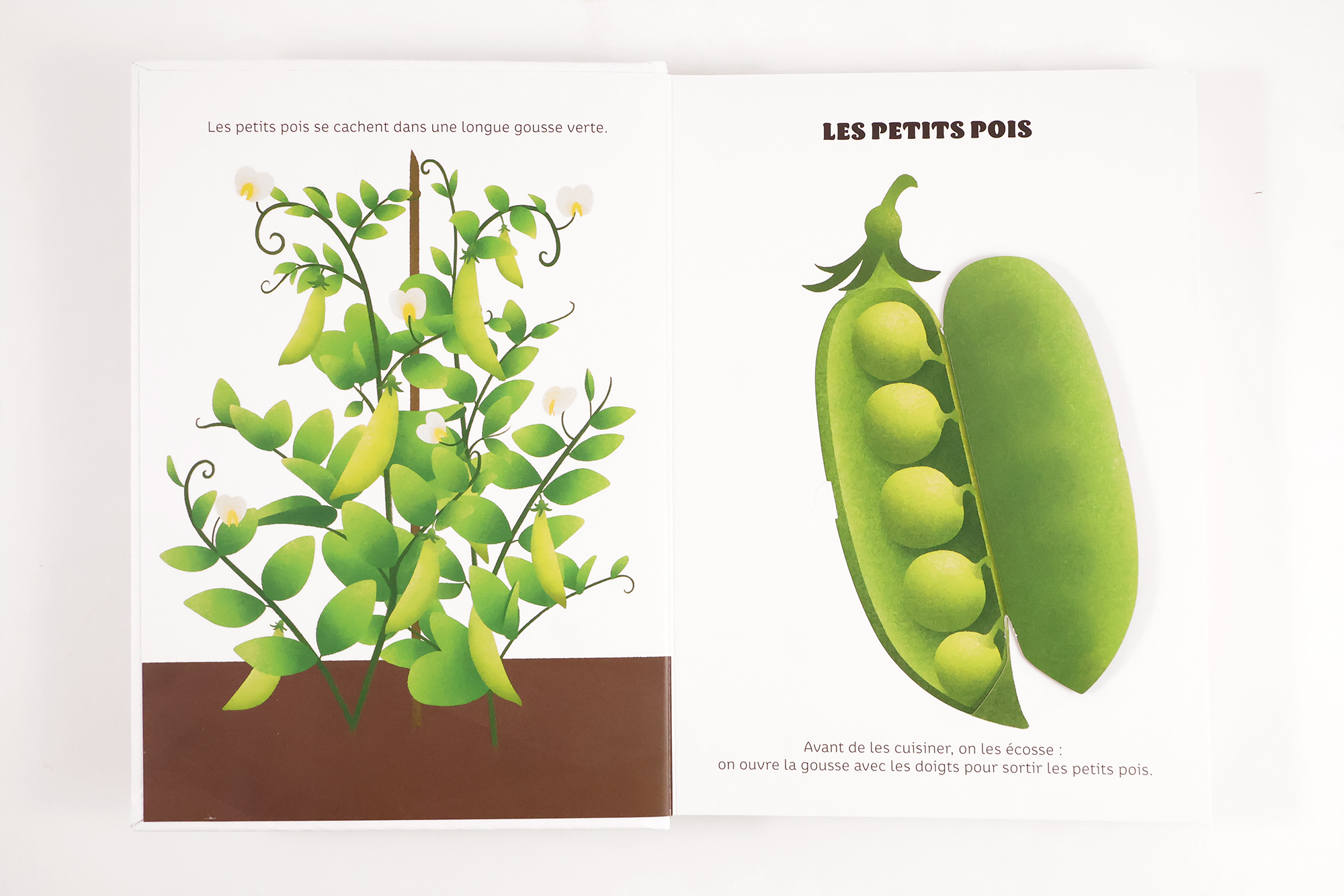 Légumes de saison – Image 2