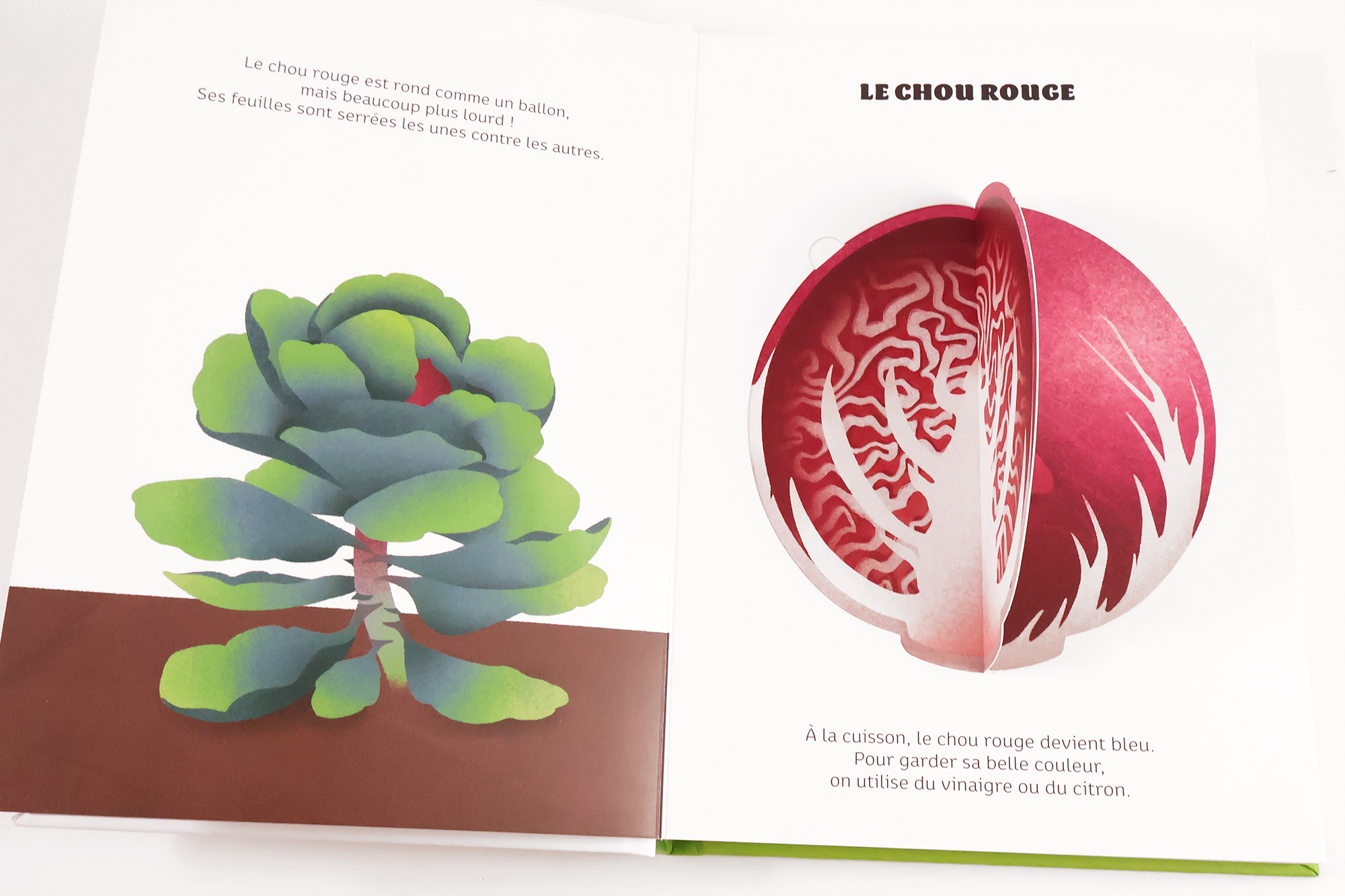 Légumes de saison – Image 3