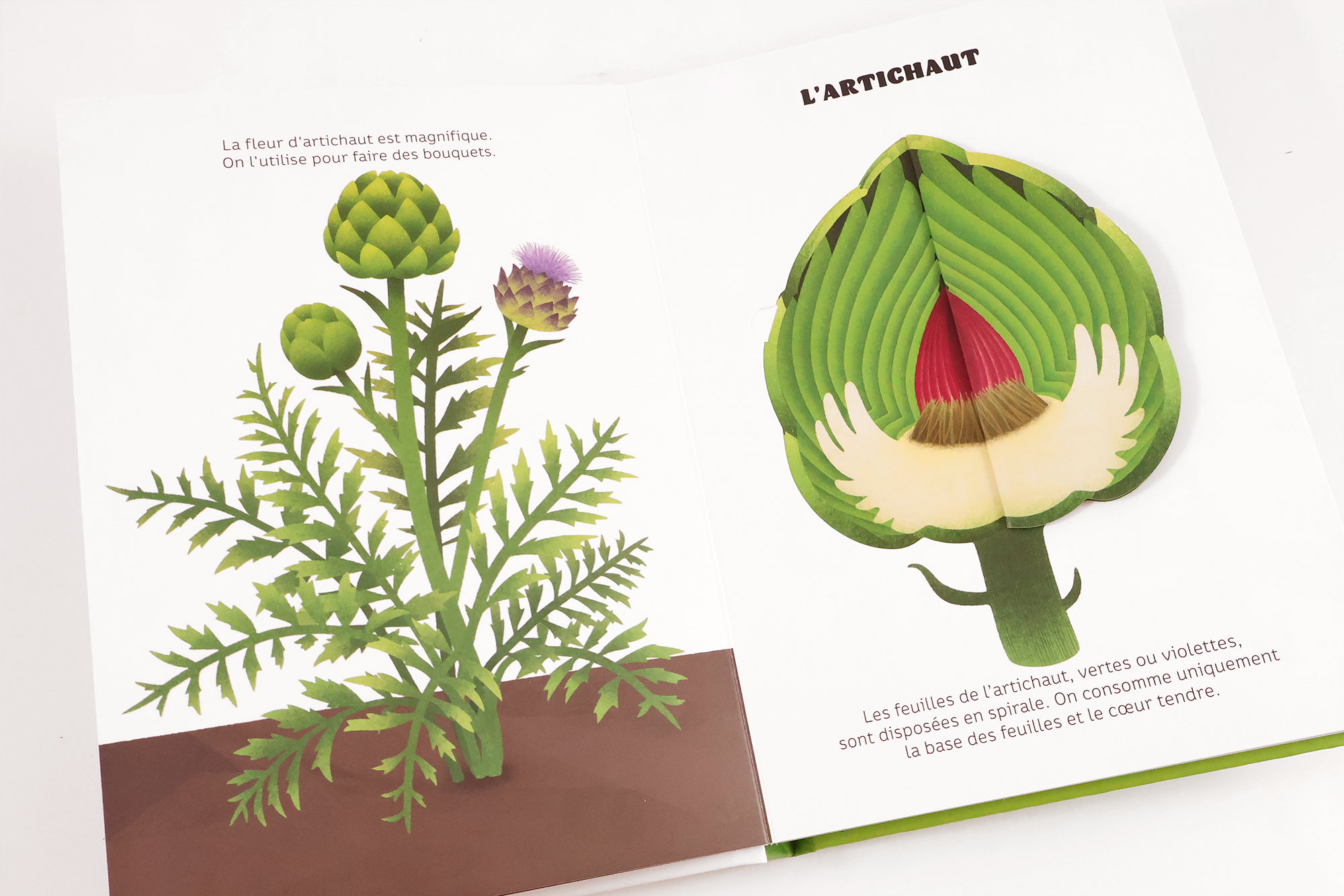 Légumes de saison – Image 4