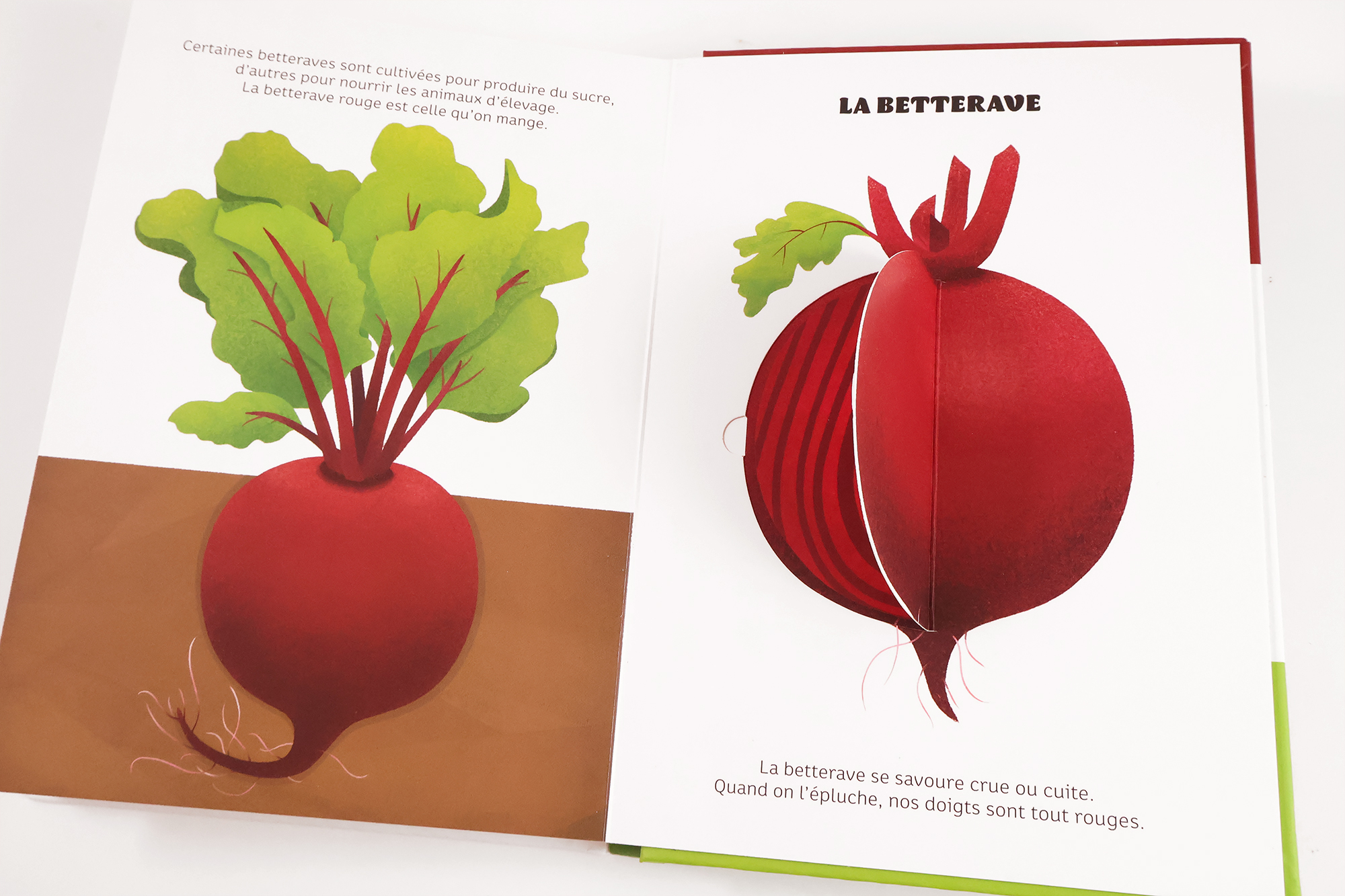 Légumes de saison – Image 6