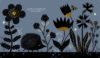 Noctambules <br/ >Écoute les animaux de la nuit – Image 3