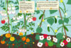 Le potager – Image 3