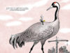 Gus et les grues – Image 5