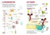 La grande expédition <br/ >de Ravouka <br/ >la souris scientifique – Image 7