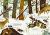 La grande expédition <br/ >de Ravouka <br/ >la souris scientifique – Image 2