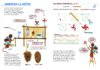 La grande expédition <br/ >de Ravouka <br/ >la souris scientifique – Image 3