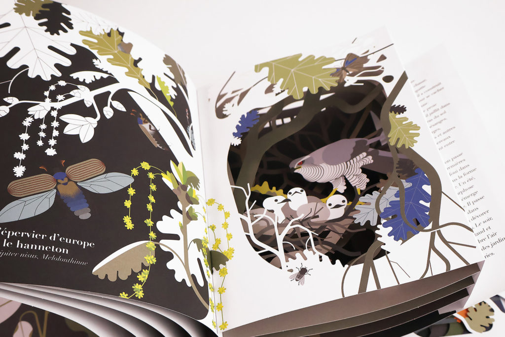 Dans le secret des feuillages - Éditions Amaterra