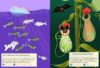 L'entraide dans la nature – Image 2