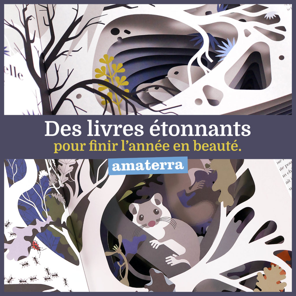 Offrez un livre ! des livres étonnants