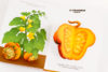 Légumes insolites – Image 3