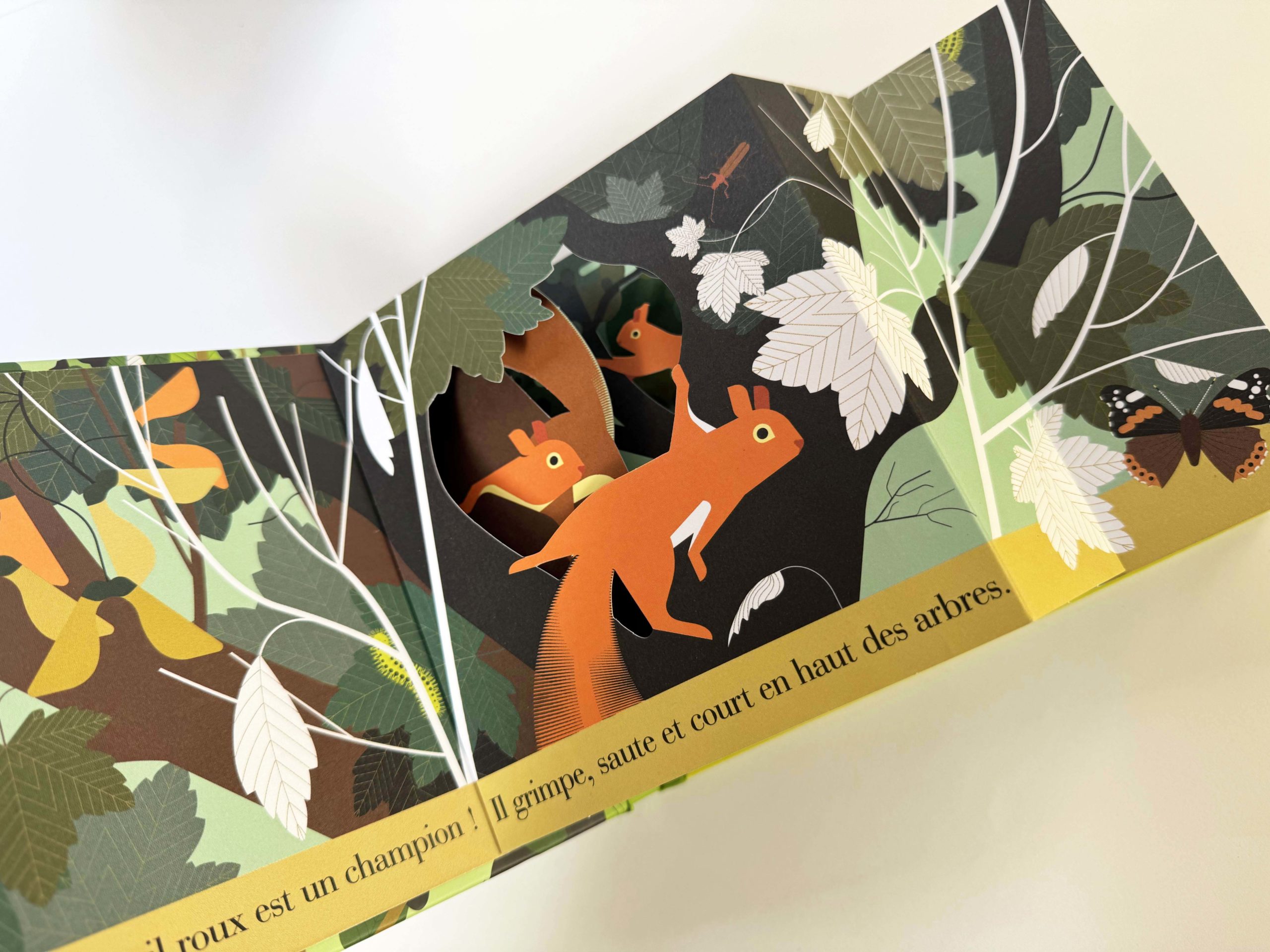 L'écureuil roux <br/ >un habile petit rongeur – Image 2