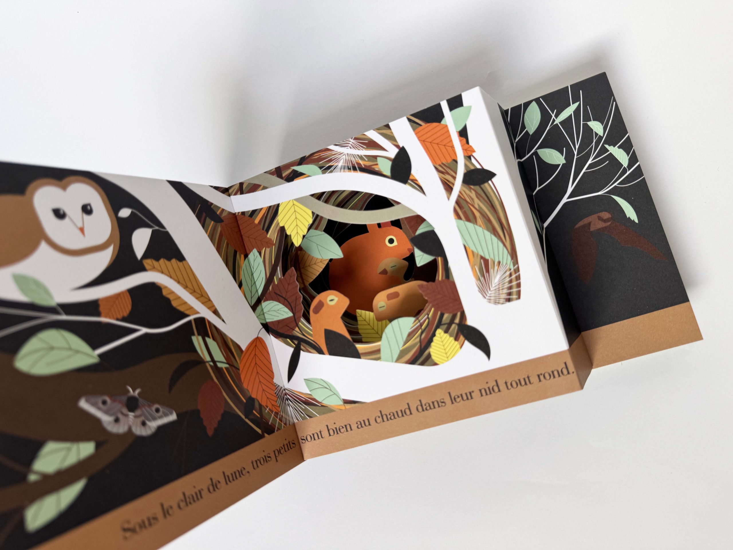 L'écureuil roux <br/ >un habile petit rongeur – Image 5