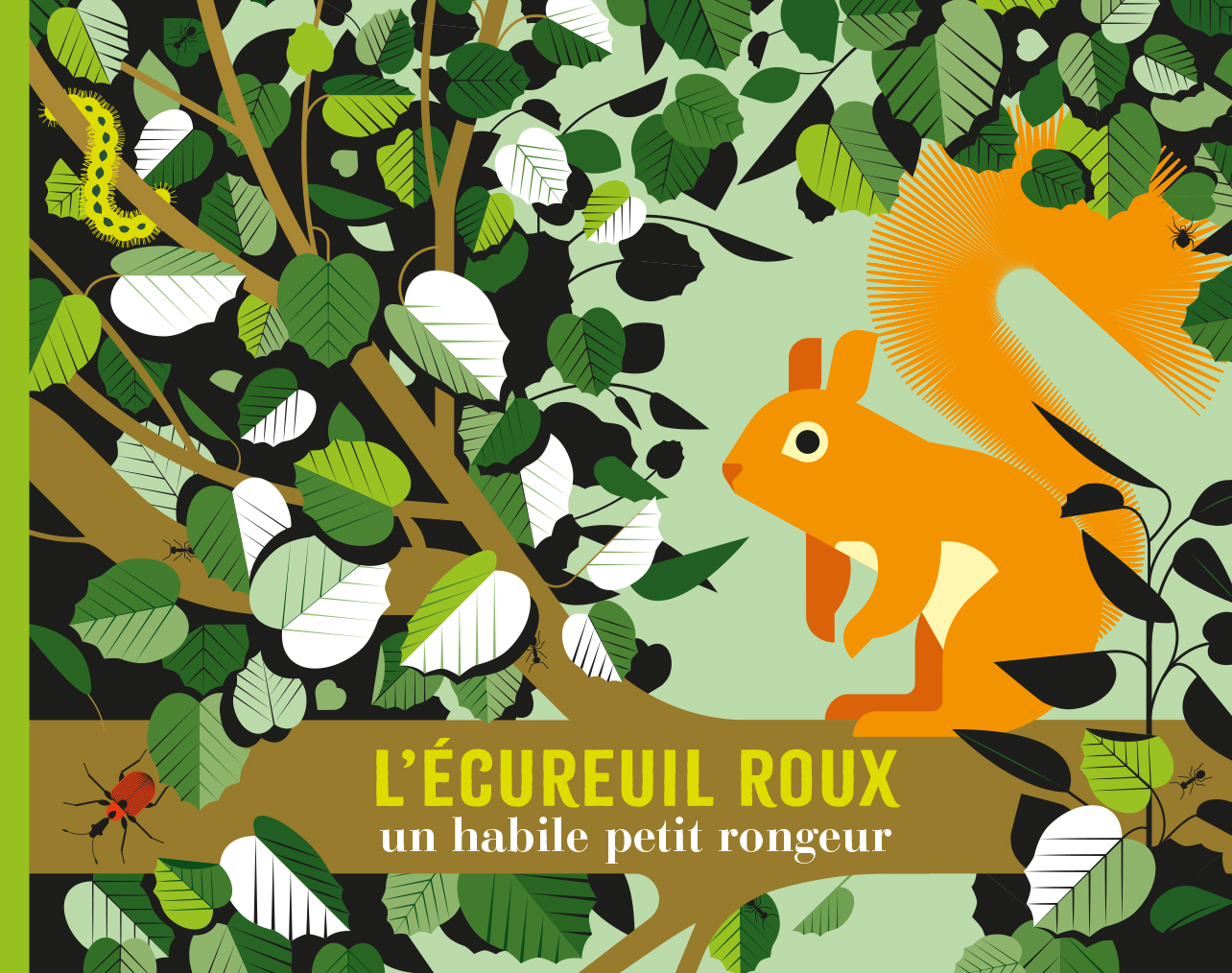 L'écureuil roux <br/ >un habile petit rongeur