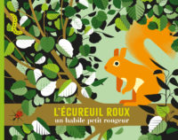 L'écureuil roux <br/ >un habile petit rongeur