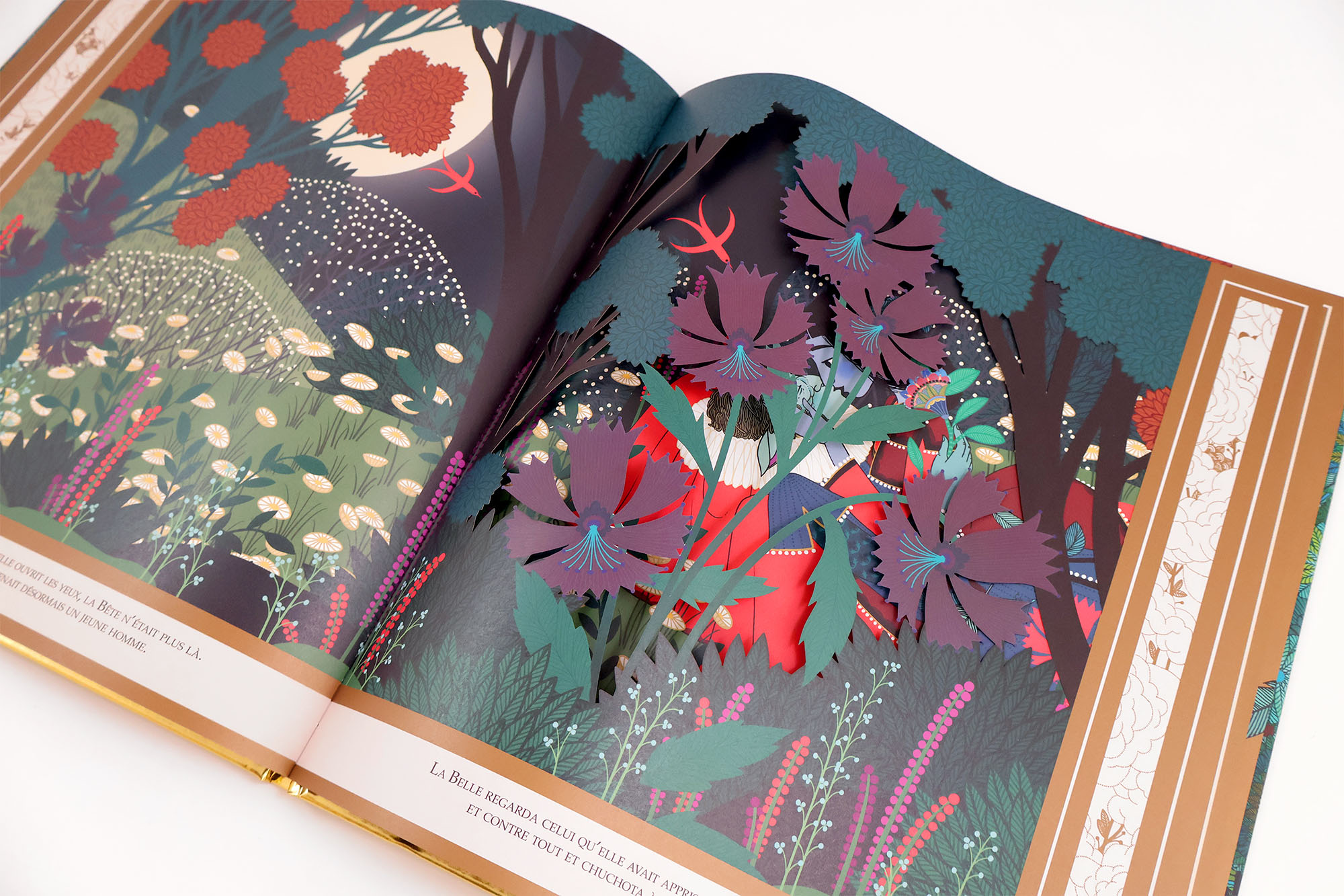 La Belle et la Bête – Image 7