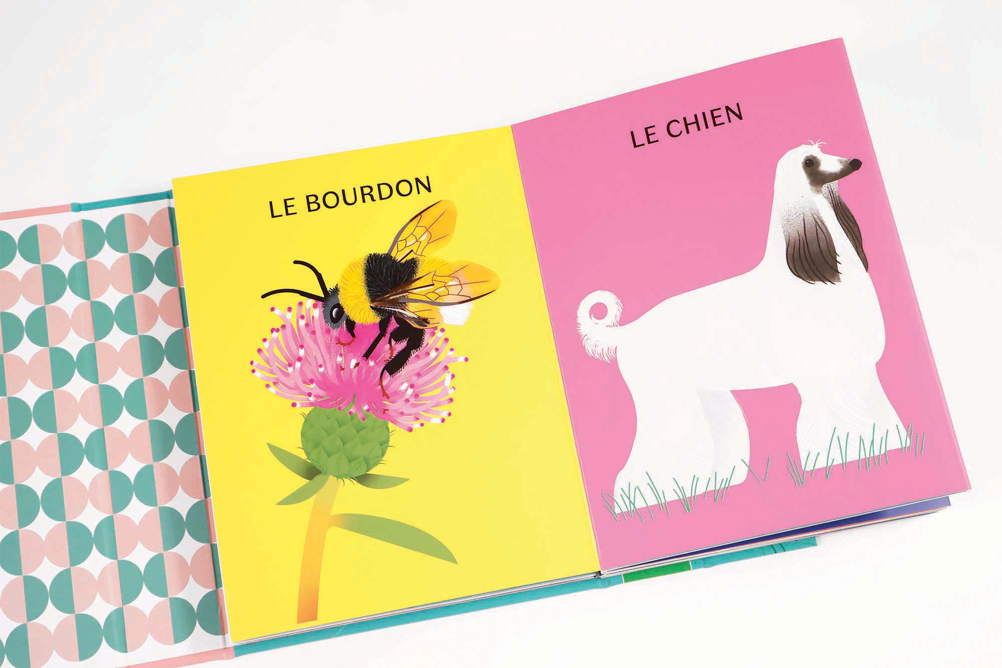 Les animaux à poils <br/ >Les animaux à plumes – Image 2