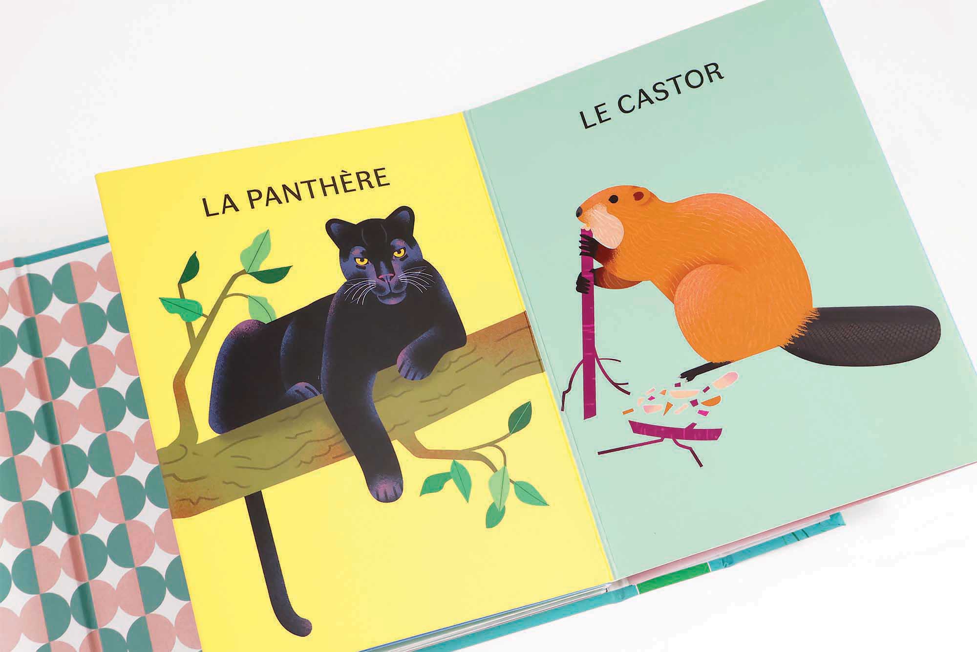 Les animaux à poils <br/ >Les animaux à plumes – Image 4