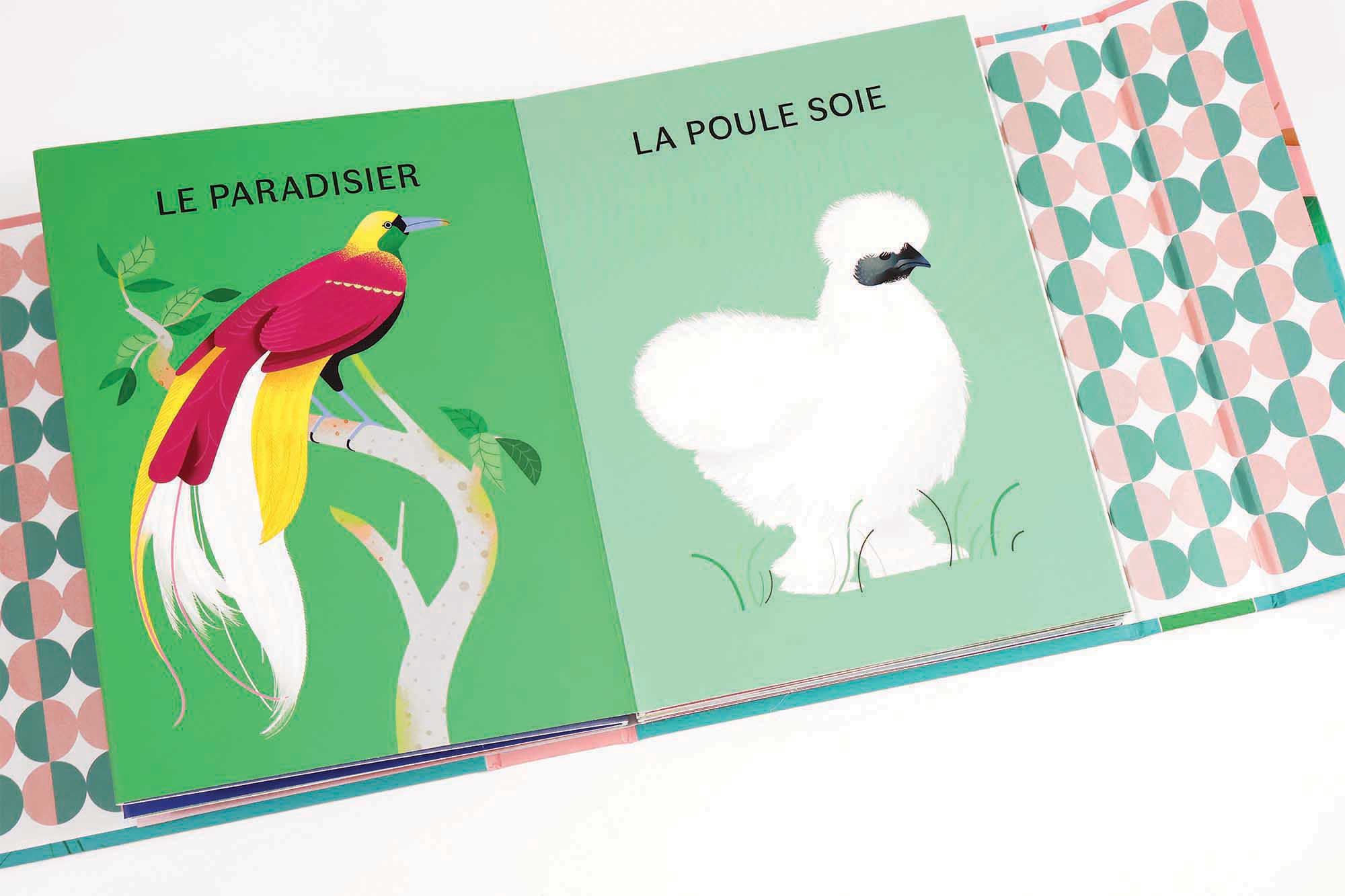 Les animaux à poils <br/ >Les animaux à plumes – Image 5