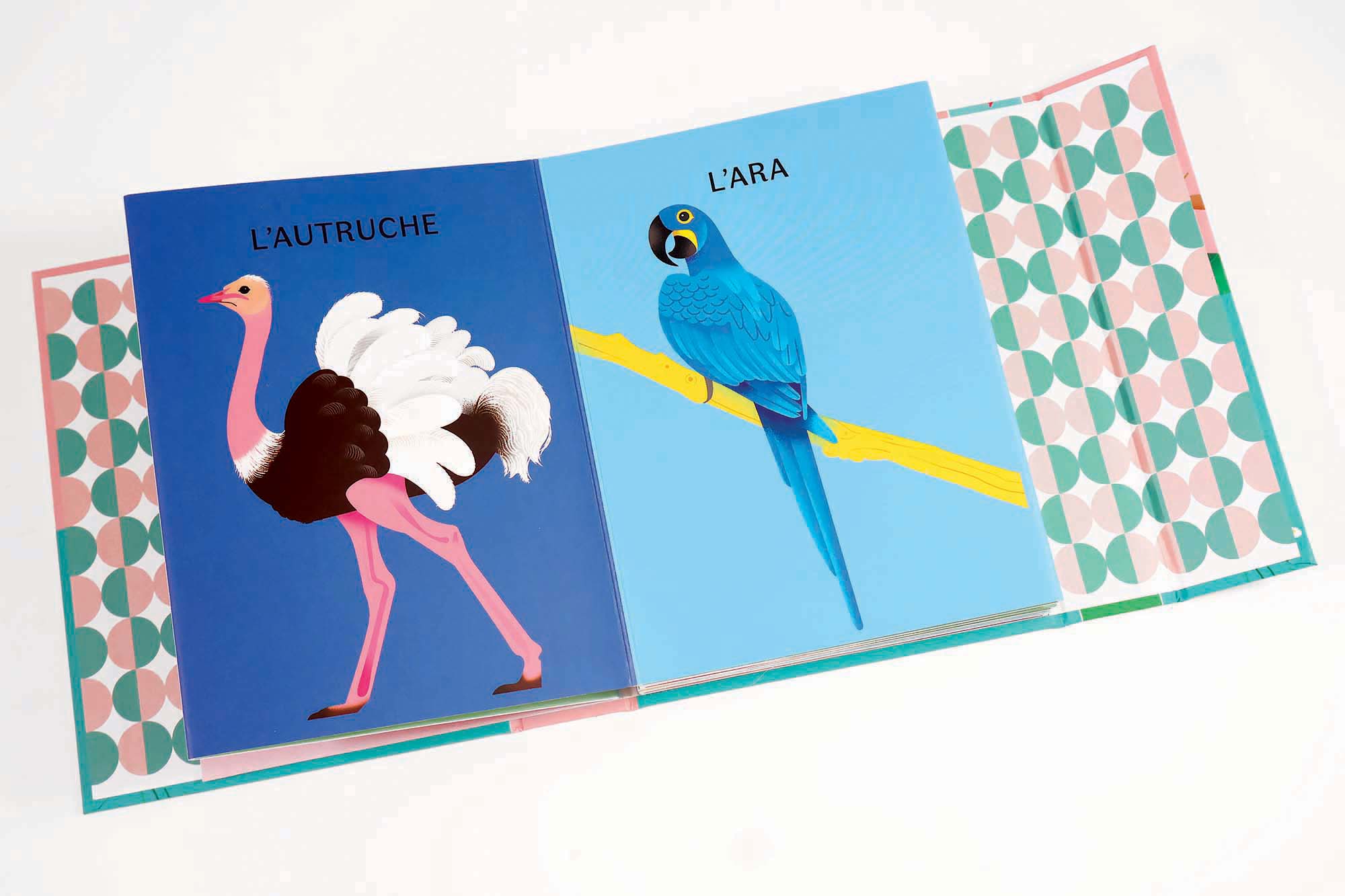 Les animaux à poils <br/ >Les animaux à plumes – Image 6