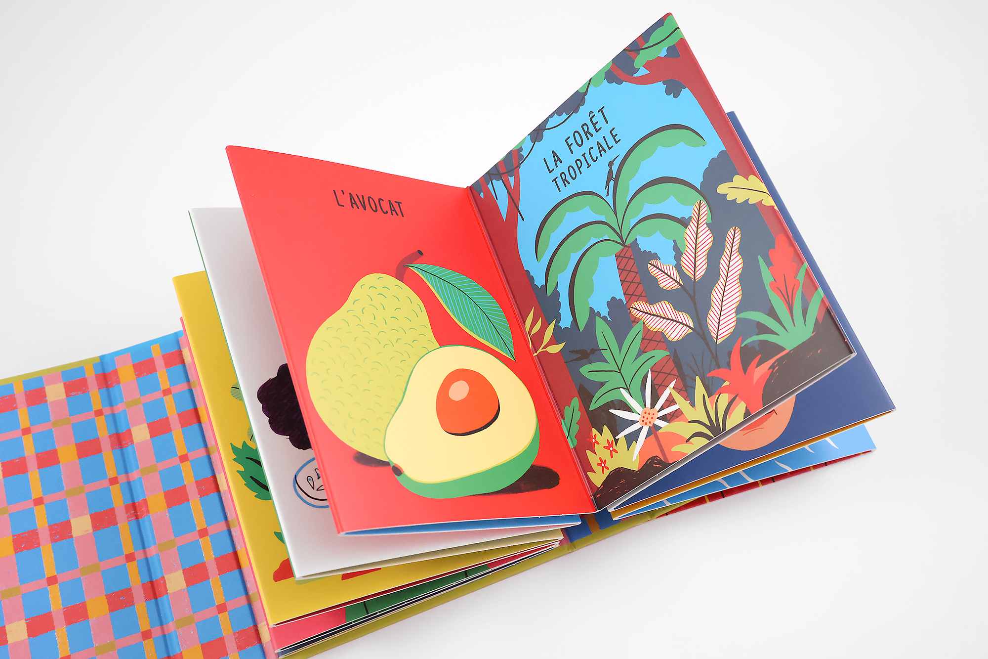 Imagier des Caraïbes – Image 6