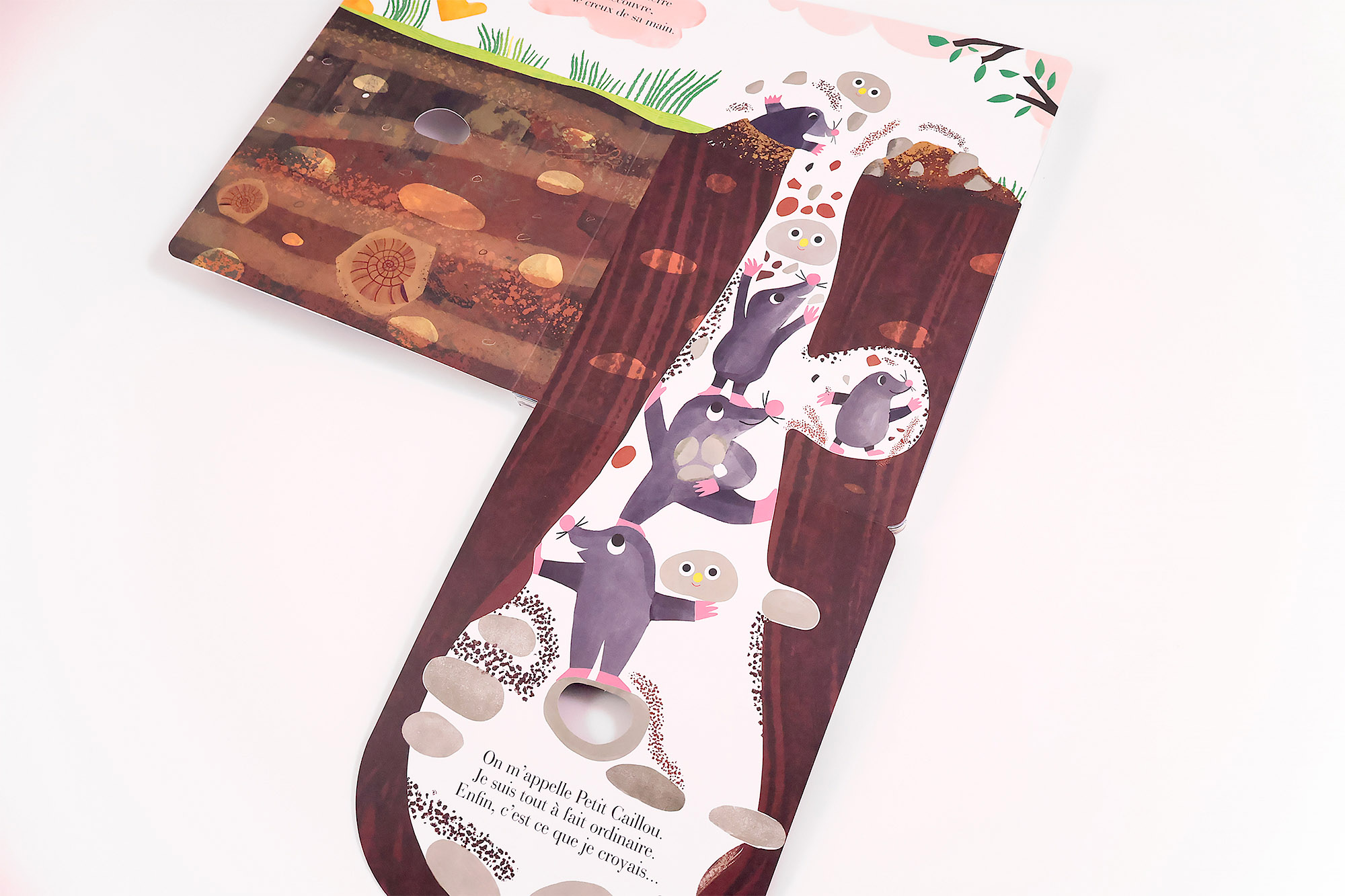 Petit Caillou – Image 2