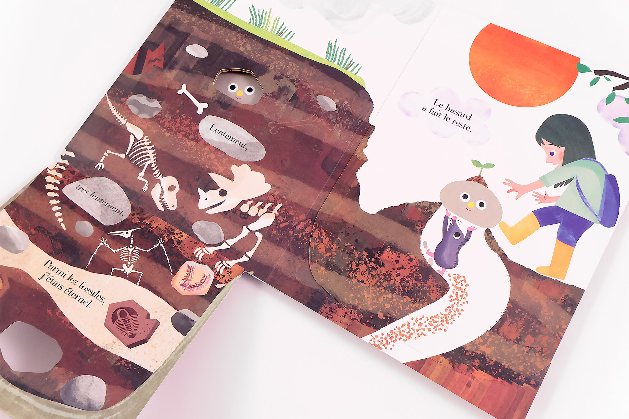 Petit Caillou – Image 7