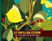 Le papillon citron <br/ >Un messager du printemps